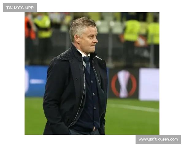 霍芬海姆队长许布纳因伤病困扰无奈挂靴 霍芬海姆队长许布纳因伤病困扰无奈挂靴